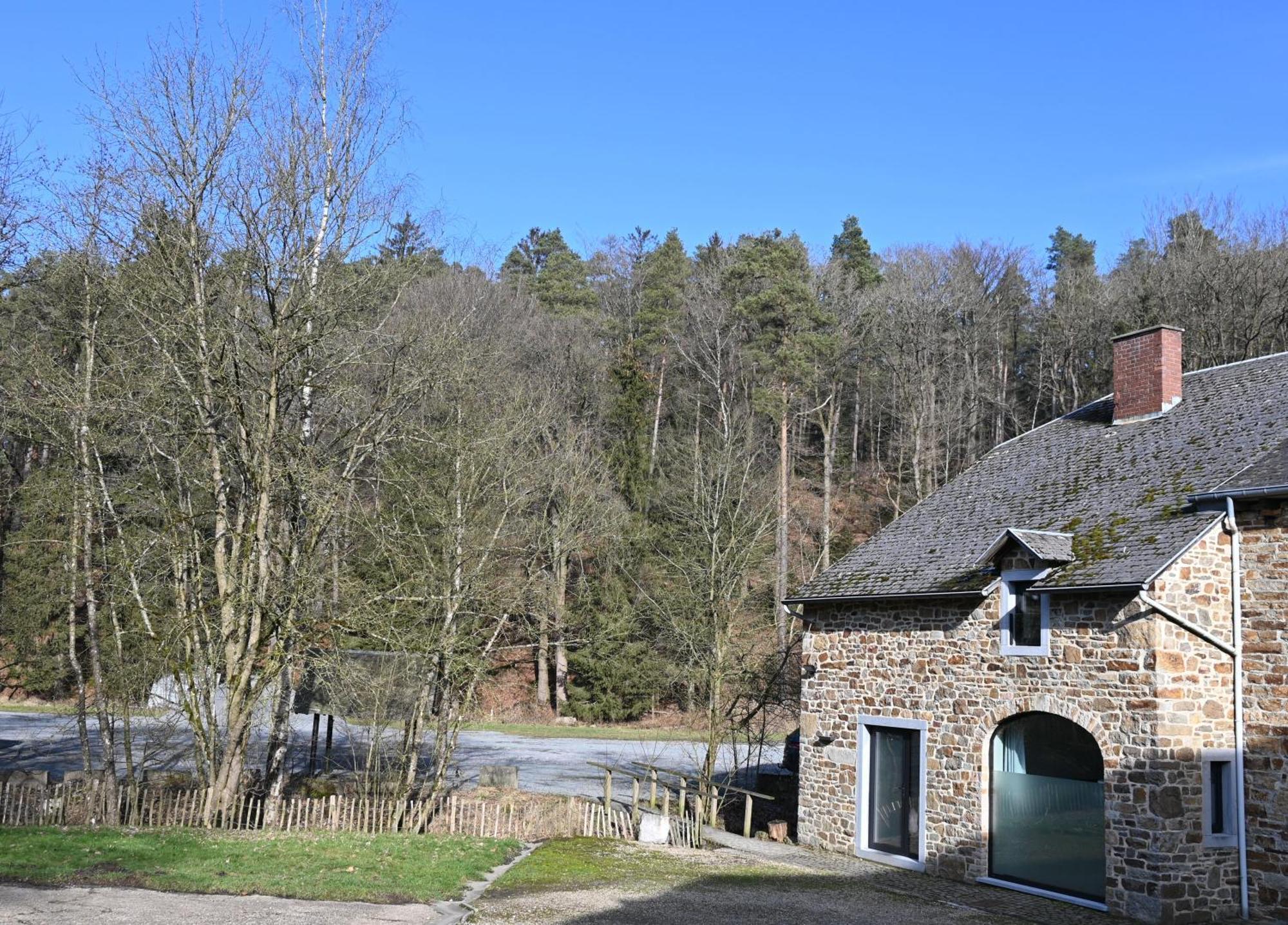 Le Moulin De Bosson - Ourasi Apartment Ferrieres Exterior photo